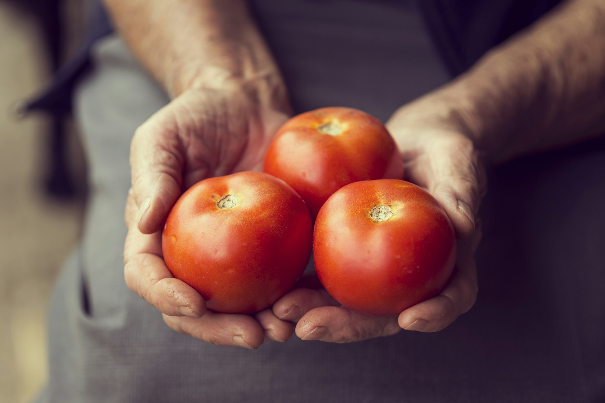 Organic tomatoes