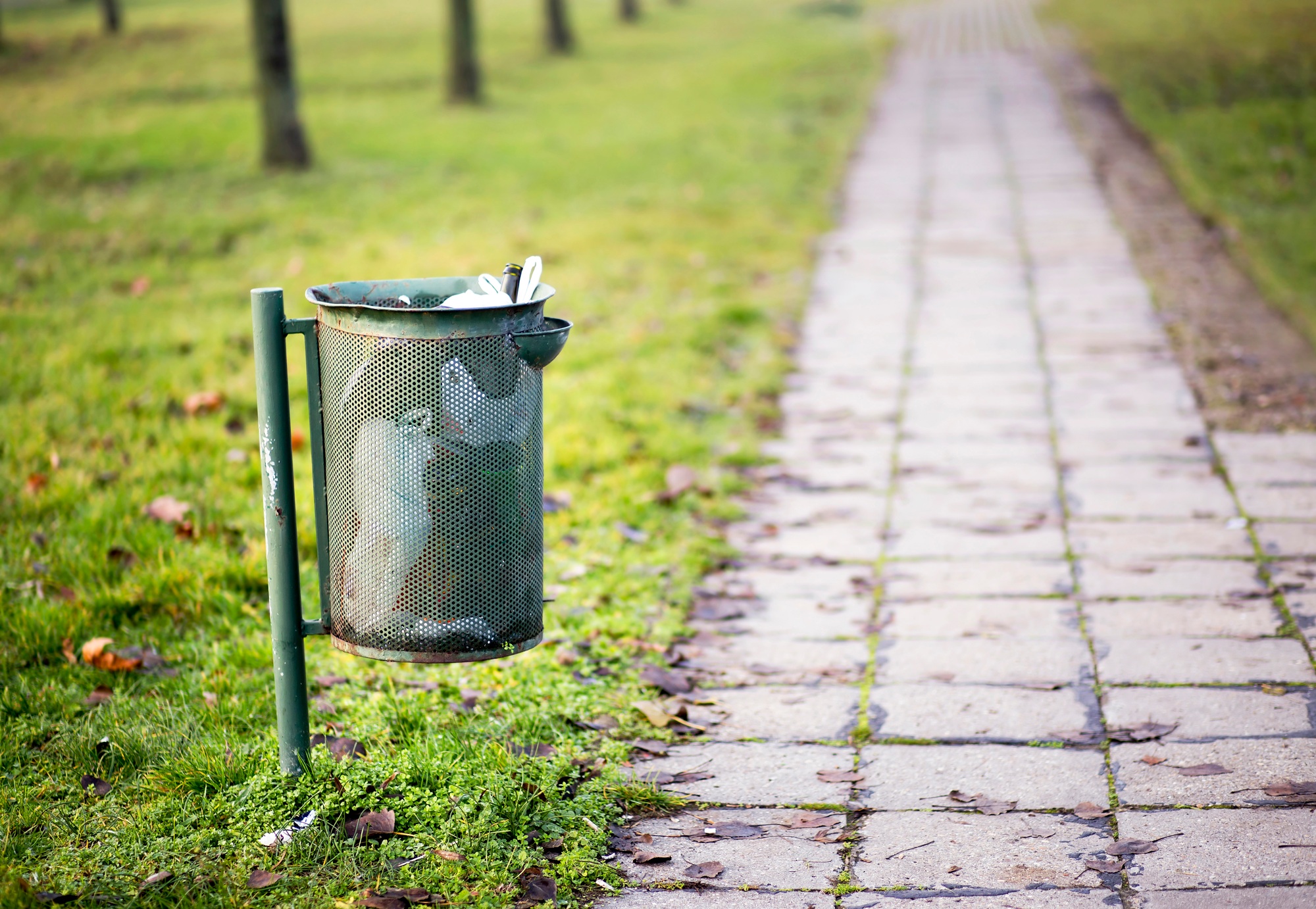 Metallic trash can